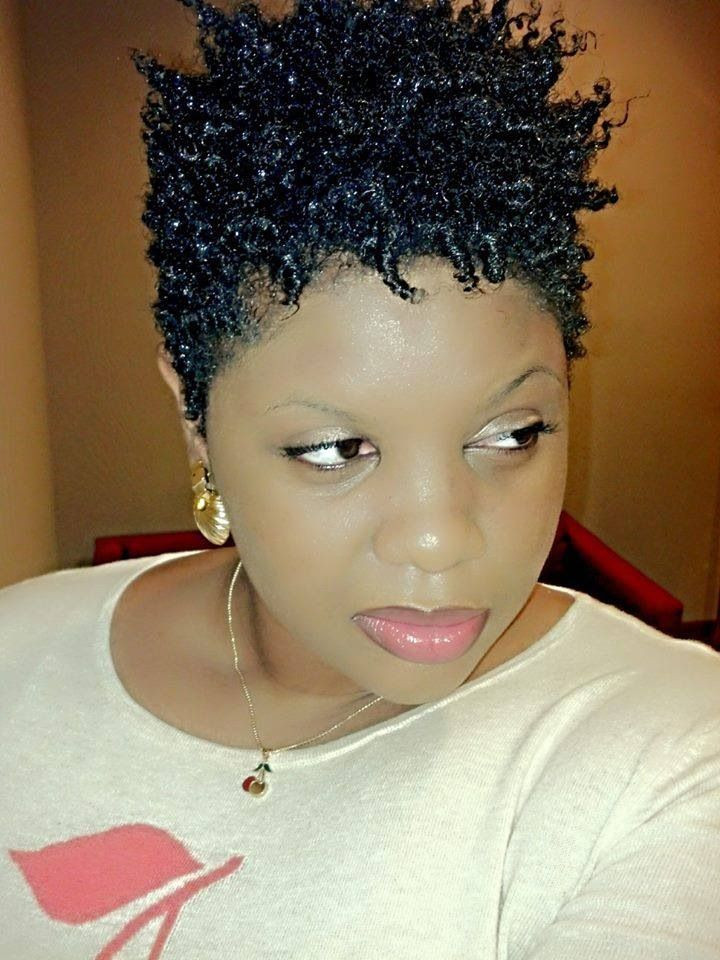 Best ideas about Natural Coils Hairstyles
. Save or Pin 26 best Coils Hair Styles images on Pinterest Now.