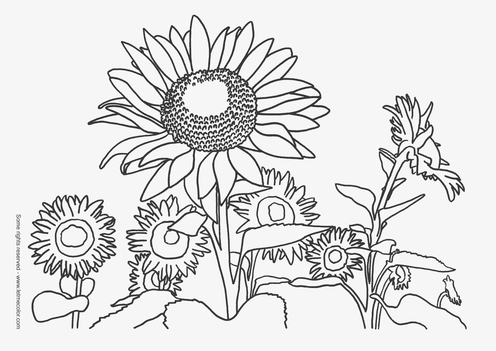 Best ideas about Nature Coloring Sheets For Kids
. Save or Pin Nature Coloring Pages for Kids Now.
