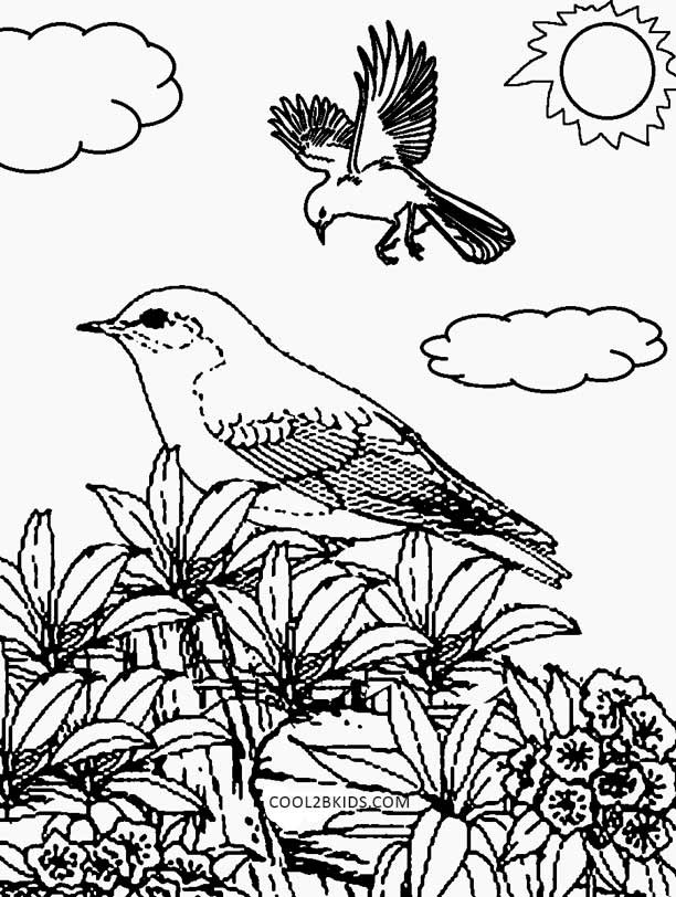 Best ideas about Nature Coloring Sheets For Kids
. Save or Pin Printable Nature Coloring Pages For Kids Now.