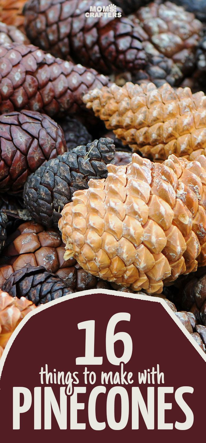 Best ideas about Nature Crafts For Adults
. Save or Pin 16 Perfect Pine Cone Crafts Now.