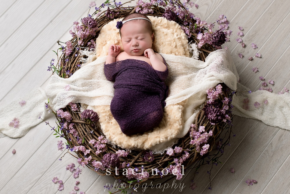 Best ideas about Newborn Baby Flower
. Save or Pin charlotte newborn photographer — Charlotte NC Newborn Now.