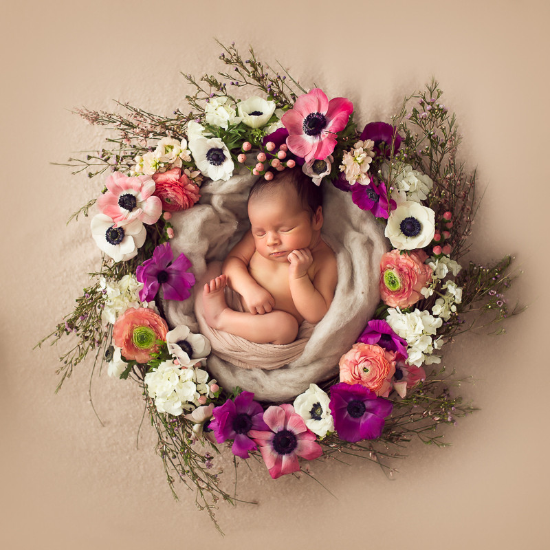 Best ideas about Newborn Baby Flower
. Save or Pin Newborn Archives Samantha Black graphy Now.