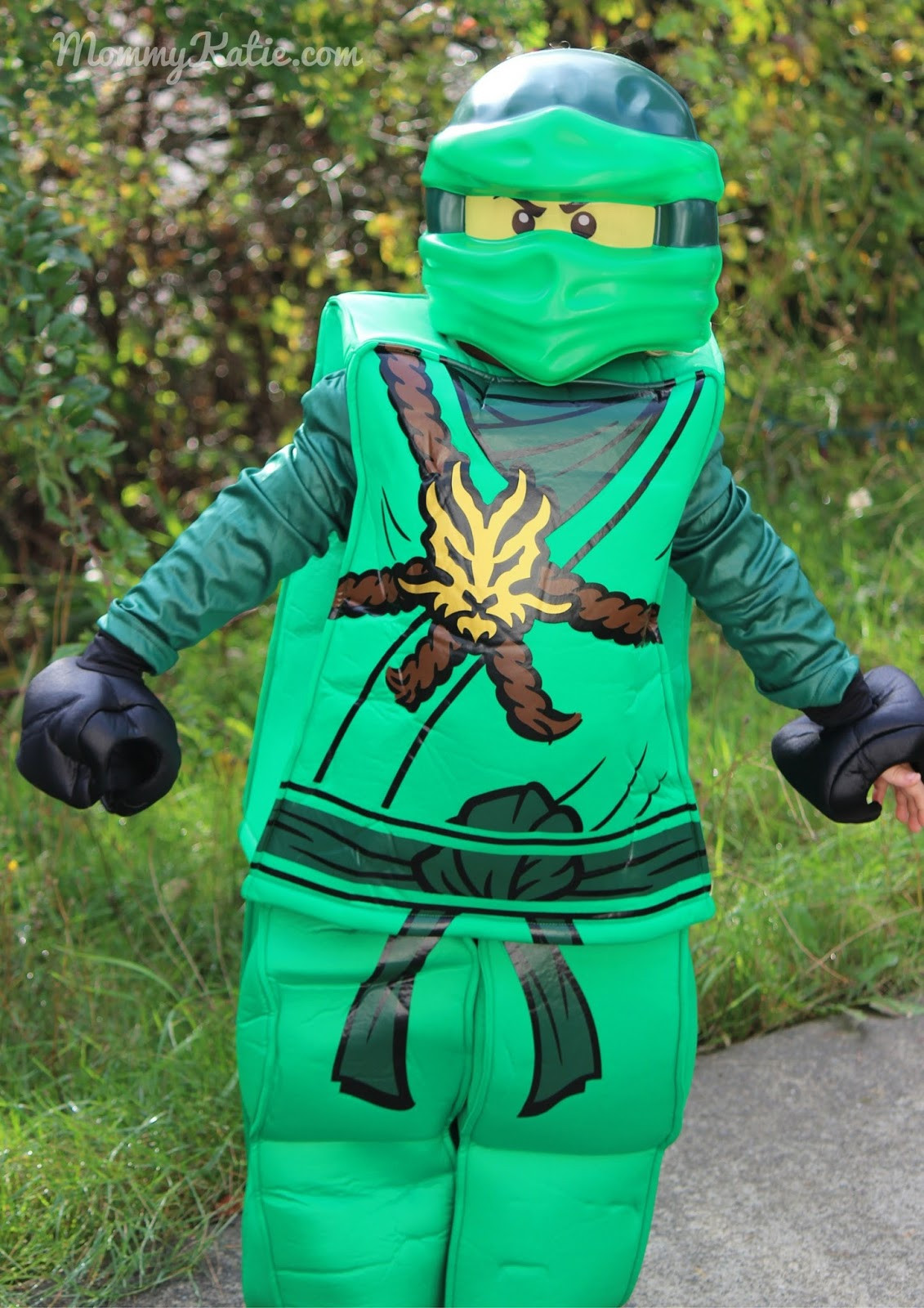 Best ideas about Ninjago Costume DIY
. Save or Pin LEGO NINJAGO Costume from Disguise Costumes Now.