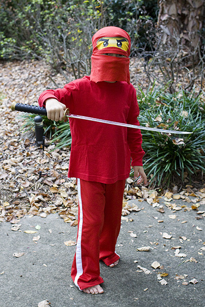 Best ideas about Ninjago Costume DIY
. Save or Pin Ninjago Costumes Now.