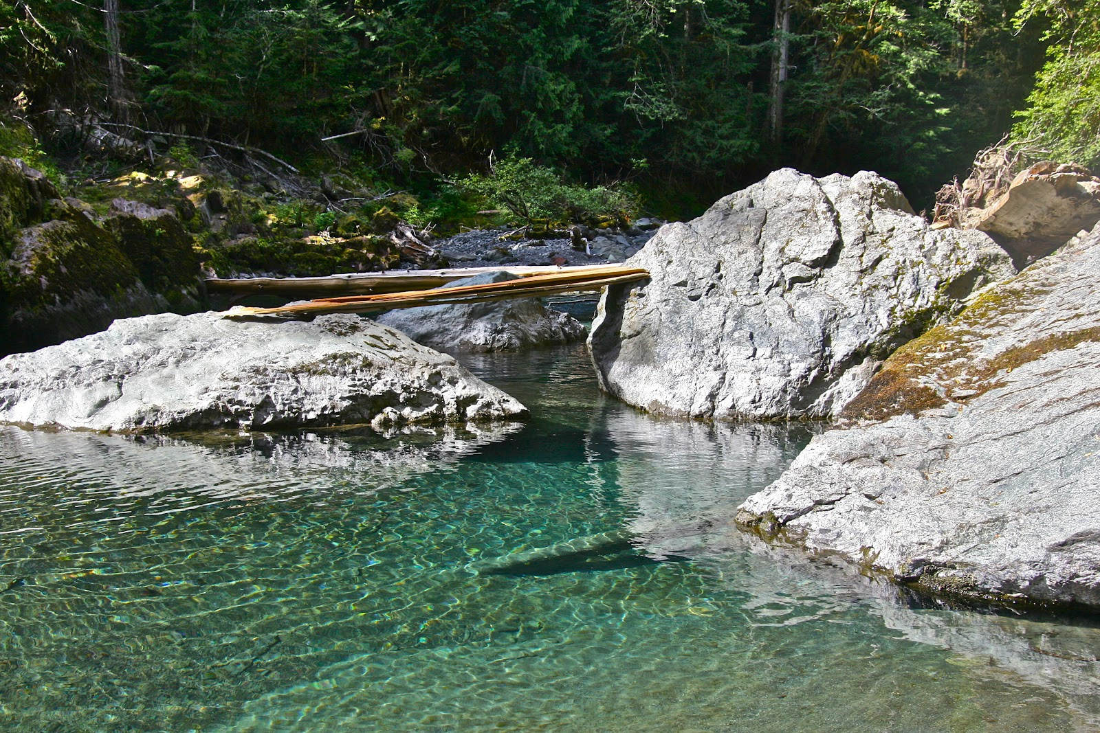 Best ideas about Olympic National Park Staircase
. Save or Pin Olympic Peninsula Hikes Guides and Updates Staircase Now.