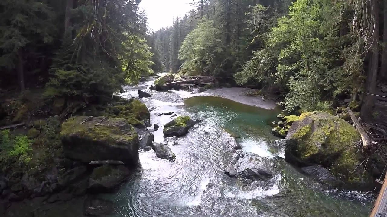 Best ideas about Olympic National Park Staircase
. Save or Pin Staircase rapids trail Olympic National Park Now.