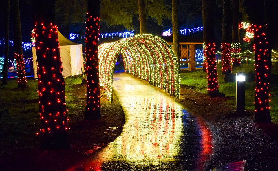 Best ideas about Oregon Garden Lights
. Save or Pin Best Holiday Lights Displays in the Northwest Now.