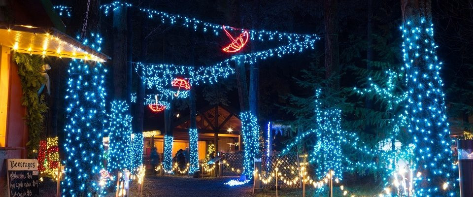 Best ideas about Oregon Garden Lights
. Save or Pin Lights Music & Santa The Oregon Garden Now.