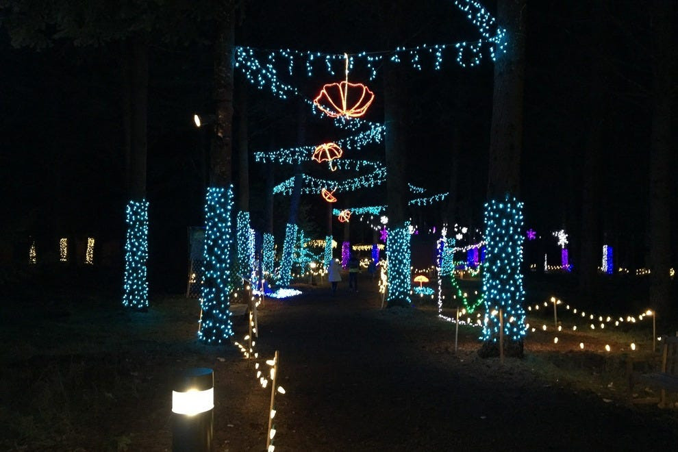 Best ideas about Oregon Garden Lights
. Save or Pin Portland s Oregon Garden Celebrates Christmas with Now.