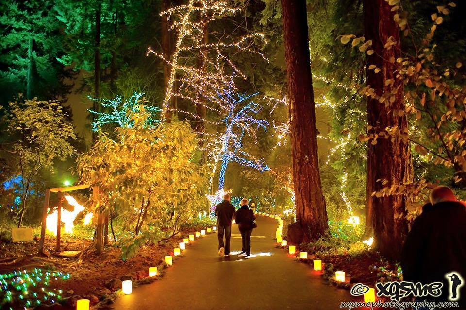 Best ideas about Oregon Garden Lights
. Save or Pin Here Are the Best 13 Places in Oregon to See Christmas Now.