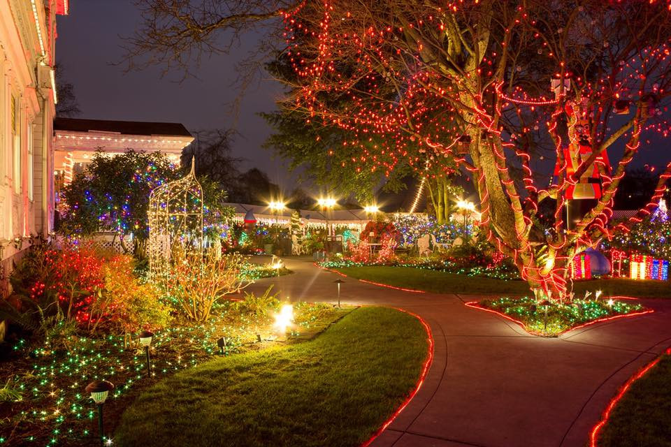 Best ideas about Oregon Garden Lights
. Save or Pin The Christmas Display In Portland With Over 1 Million Lights Now.