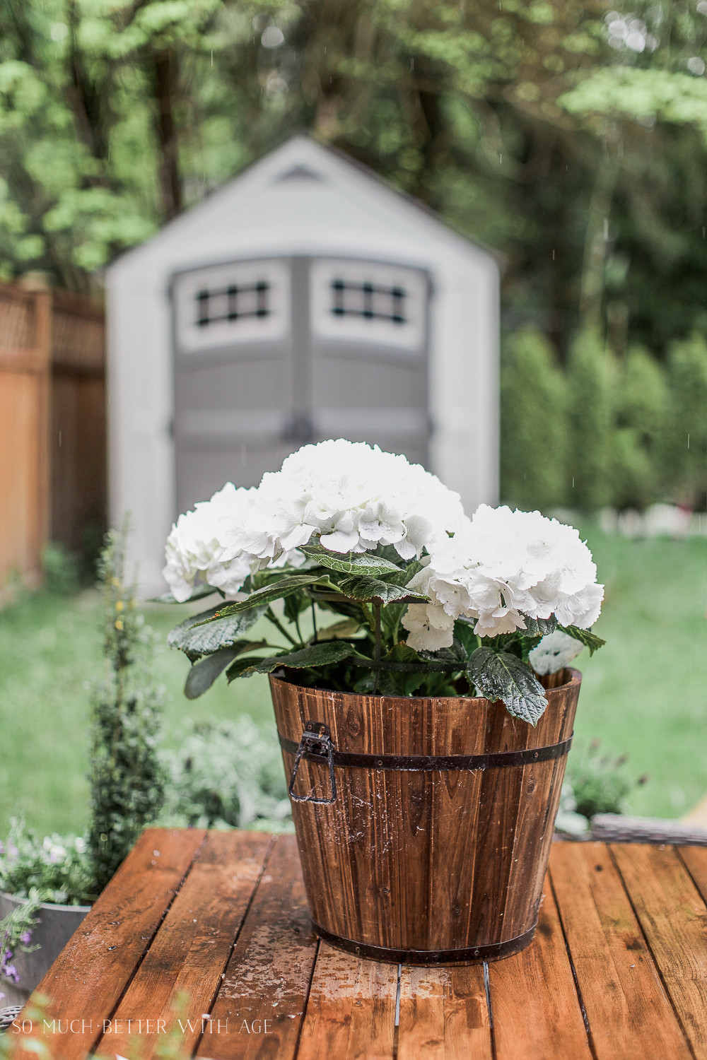 Best ideas about Outdoor Planter Pots
. Save or Pin The Best Tip for Filling Outdoor Planters Now.