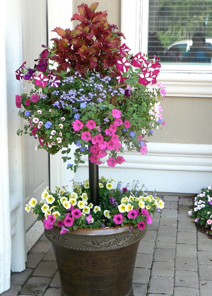 Best ideas about Outdoor Potted Plants
. Save or Pin 1368 best Outdoor plant containers images on Pinterest Now.