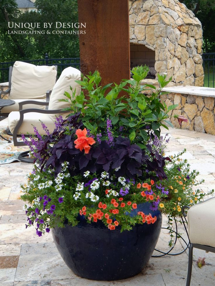 Best ideas about Outdoor Potted Plants
. Save or Pin 301 best CONTAINER GARDENING UNIQUE BY DESIGN images on Now.