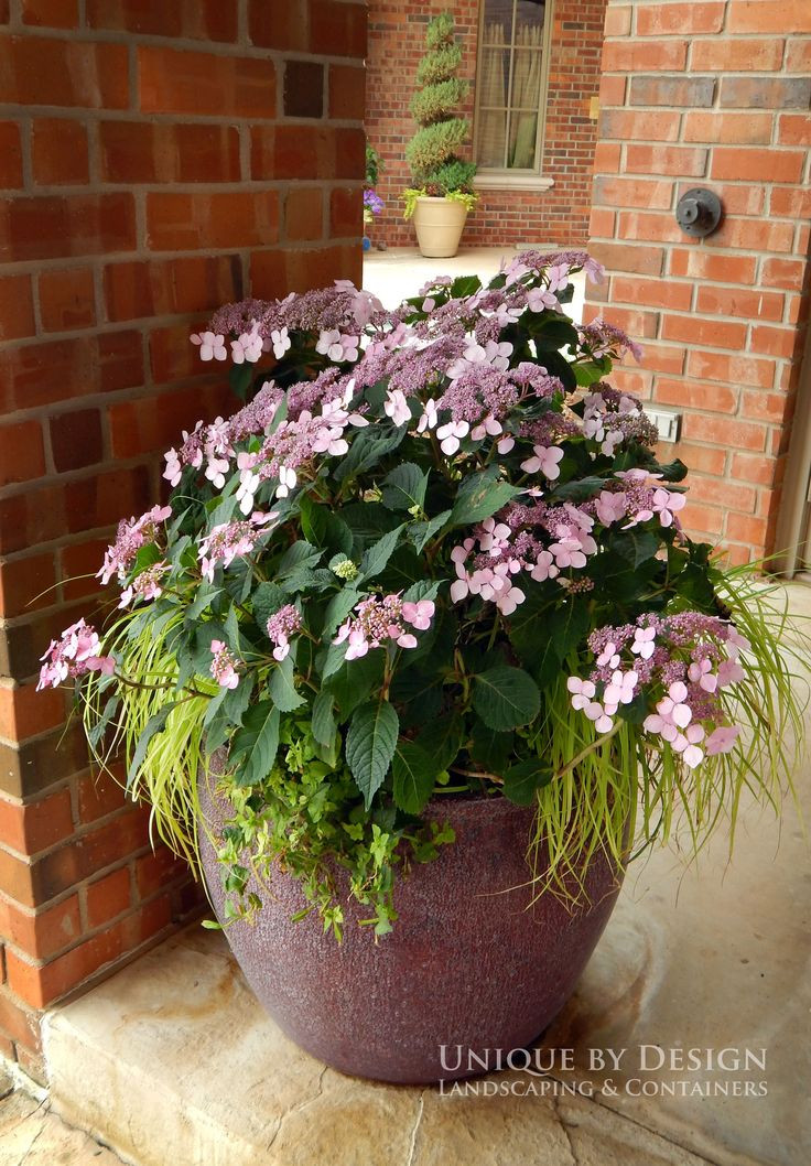 Best ideas about Outdoor Potted Plants
. Save or Pin 724 best Container Gardening Ideas images on Pinterest Now.