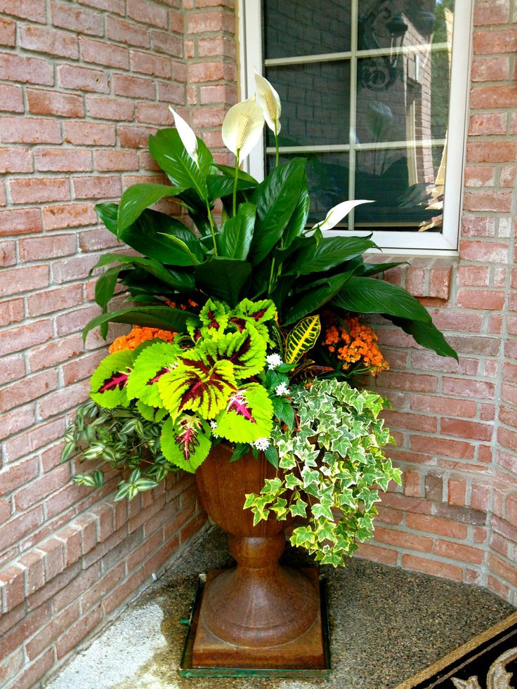 Best ideas about Outdoor Potted Plants
. Save or Pin 91 best Window Box ideas images on Pinterest Now.