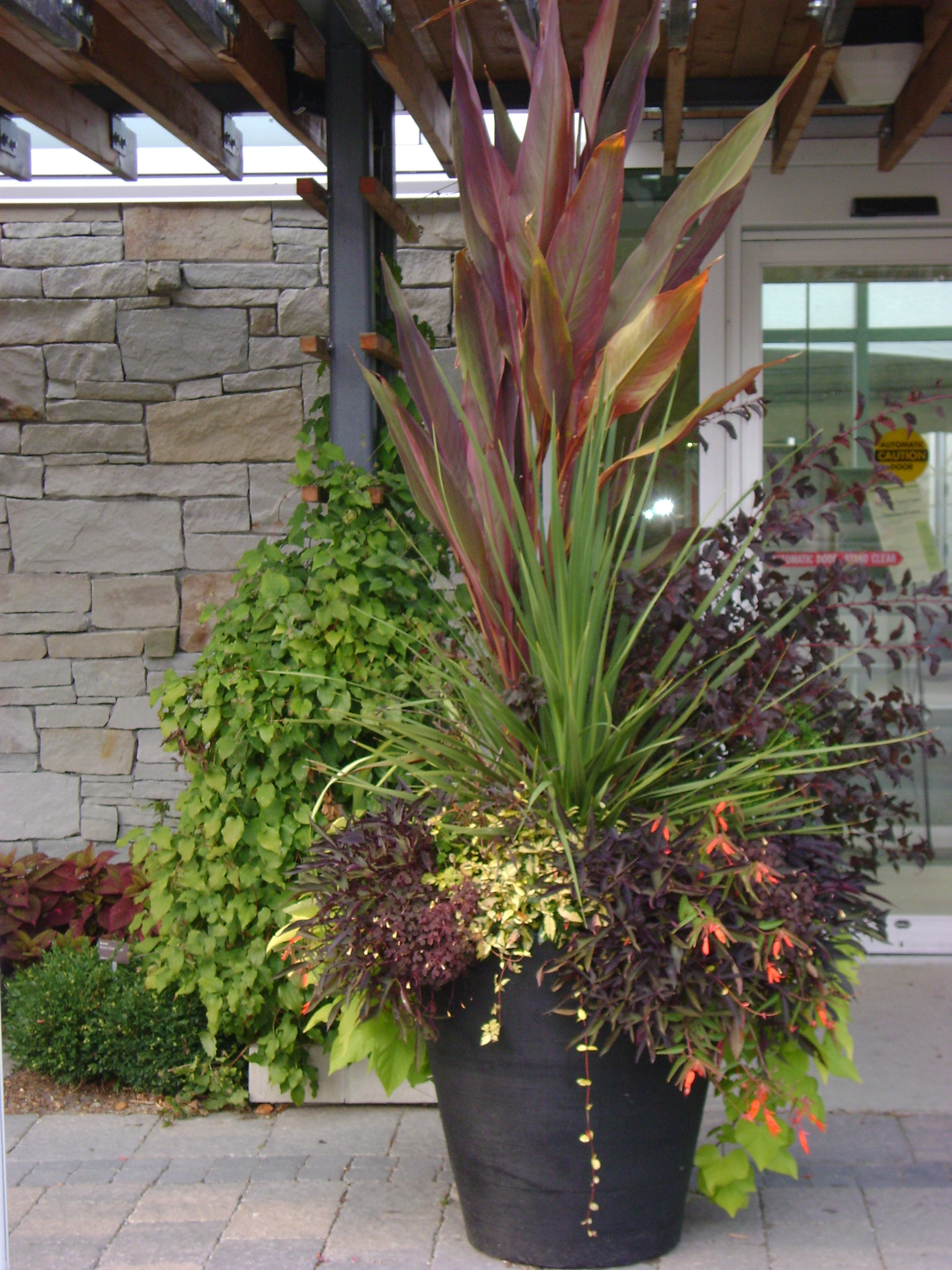 Best ideas about Outdoor Potted Plants
. Save or Pin Garden Visits TBG Containers Now.