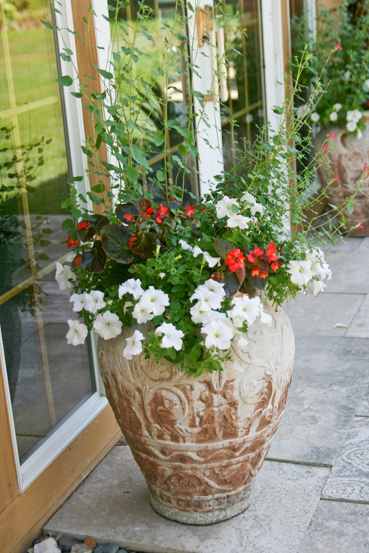 Best ideas about Outdoor Potted Plants
. Save or Pin 17 Best images about Breezeway on Pinterest Now.