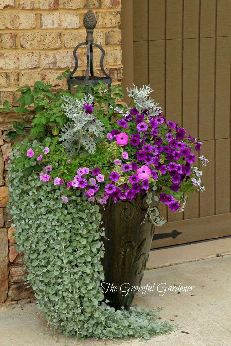 Best ideas about Outdoor Potted Plants
. Save or Pin 2494 best images about Container Gardening on Pinterest Now.