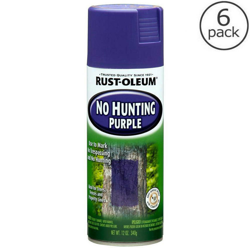 Best ideas about Outdoor Spray Paint
. Save or Pin 6 Pack Rust Oleum 12 oz Purple Outdoor Spray Paint No Now.