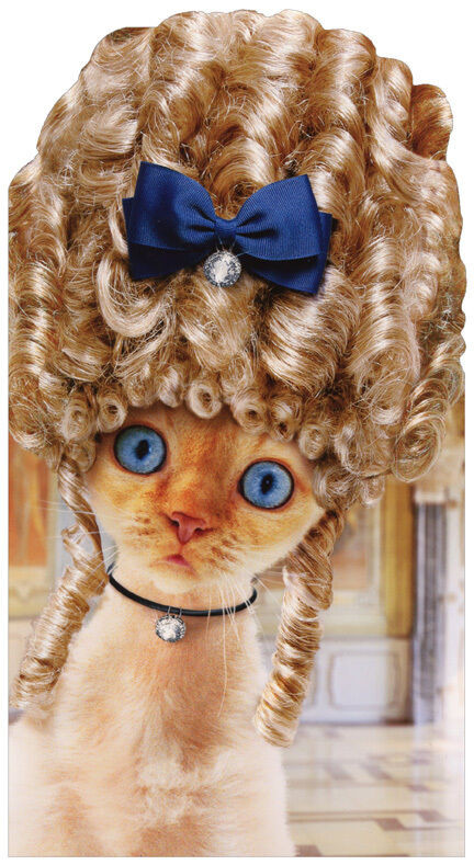 Best ideas about Oversize Birthday Card
. Save or Pin Cat In Old Fashioned Wig Oversized Funny Birthday Card Now.