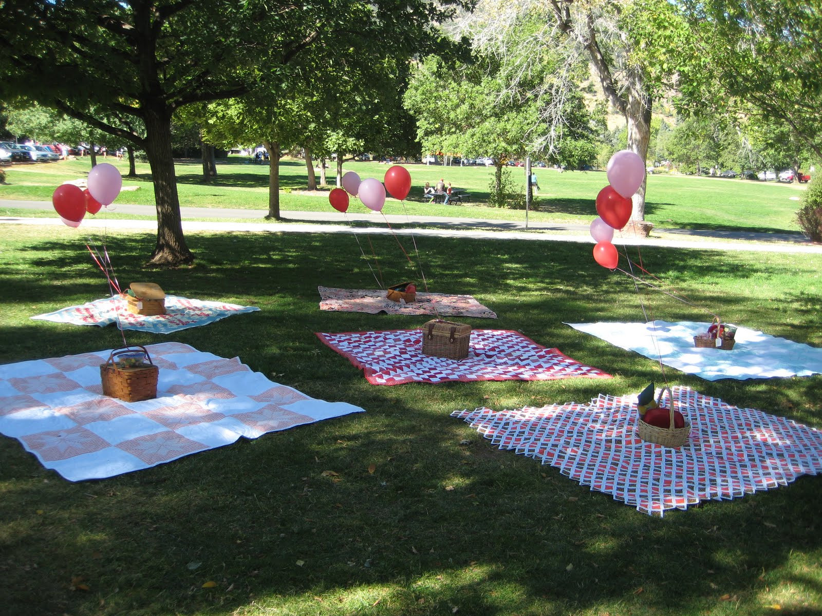 Best ideas about Park Birthday Party
. Save or Pin Colorado Sartells Chautauqua Park Picnic Birthday Now.
