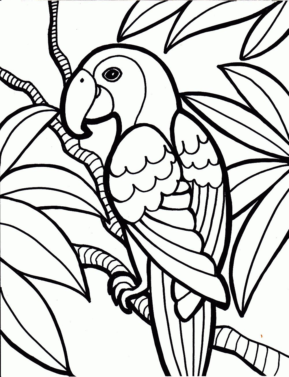 Best ideas about Parrot Coloring Pages For Adults
. Save or Pin Free Printable Parrot Coloring Pages For Kids Now.