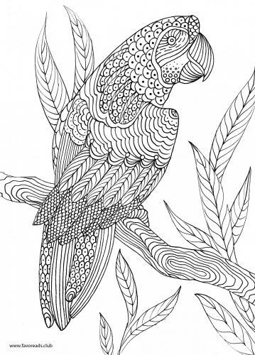 Best ideas about Parrot Coloring Pages For Adults
. Save or Pin The Best Free Adult Coloring Book Pages Now.