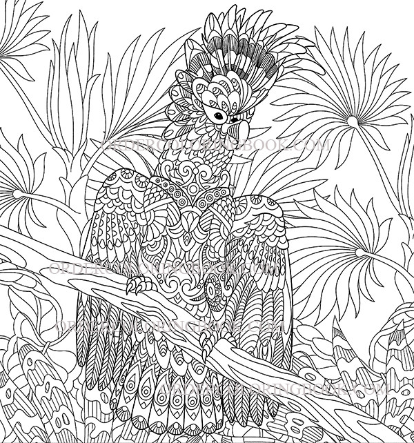 Best ideas about Parrot Coloring Pages For Adults
. Save or Pin Cockatoo Parrot Coloring Pages Order Coloring Books and Now.