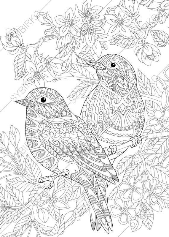 Best ideas about Parrot Coloring Pages For Adults
. Save or Pin Coloring Pages for adults Love Birds Spring Flowers Now.
