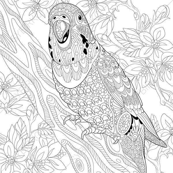 Best ideas about Parrot Coloring Pages For Adults
. Save or Pin Adult Coloring Pages Budgie Parakeet Parrot Zentangle Doodle Now.