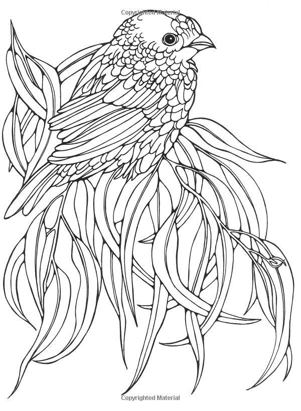 Best ideas about Parrot Coloring Pages For Adults
. Save or Pin d408a72a7d3cf9816a4e fde5cf6 600×820 Now.