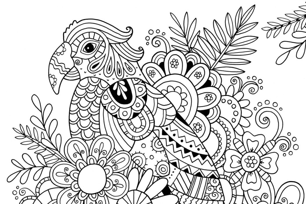 Best ideas about Parrot Coloring Pages For Adults
. Save or Pin How to Draw Zentangle Patterns Hobbycraft Blog Now.