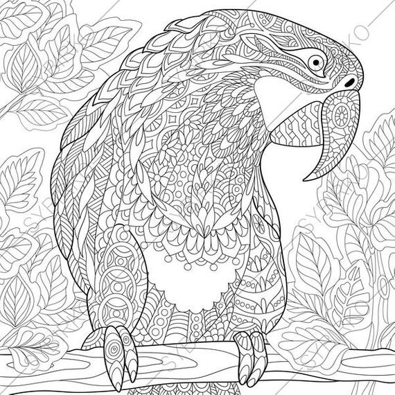 Best ideas about Parrot Coloring Pages For Adults
. Save or Pin Macaw Parrot Adult Coloring Book Page Zentangle Doodle Now.
