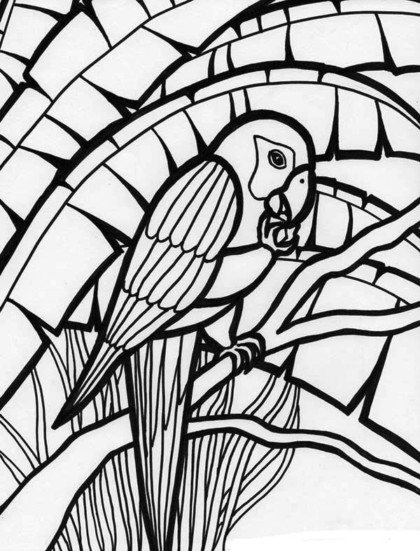 Best ideas about Parrot Coloring Pages For Adults
. Save or Pin 107 best Parrot coloring pages images on Pinterest Now.