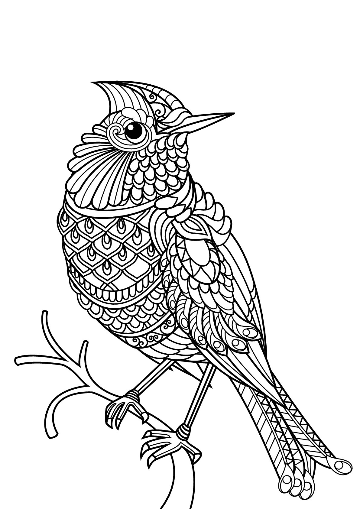 Best ideas about Parrot Coloring Pages For Adults
. Save or Pin Free book bird Birds Adult Coloring Pages Now.