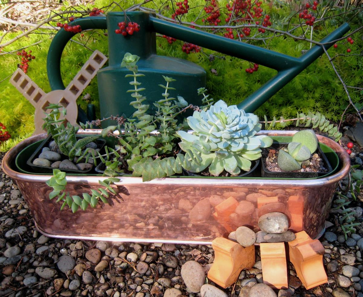 Best ideas about Patio Gift Ideas
. Save or Pin Indoor Gardening Gifts Unusual Ideas for Holiday Now.