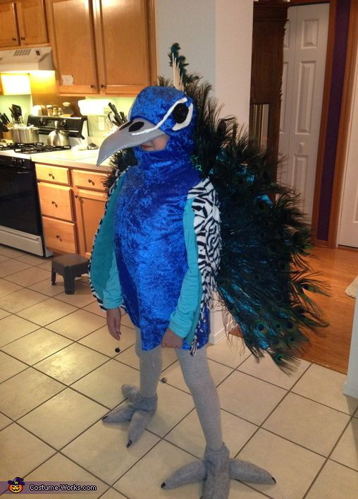 Best ideas about Peacock Halloween Costume DIY
. Save or Pin 17 Best images about Shelford Peacock Percival on Now.