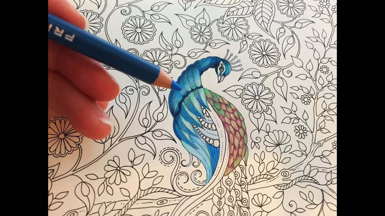 Best ideas about Pencils For Adult Coloring Books
. Save or Pin Peacock Part 1 3 Now.