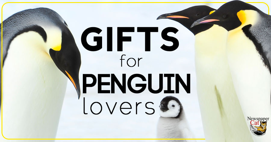 Best ideas about Penguin Gift Ideas
. Save or Pin Cool & Cute Present Ideas And Unique Penguin Themed Gifts Now.
