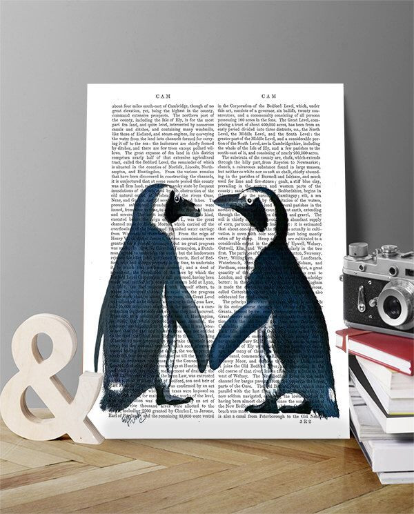 Best ideas about Penguin Gift Ideas
. Save or Pin Best 25 Penguin illustration ideas on Pinterest Now.