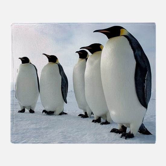 Best ideas about Penguin Gift Ideas
. Save or Pin Penguin Gifts & Merchandise Now.
