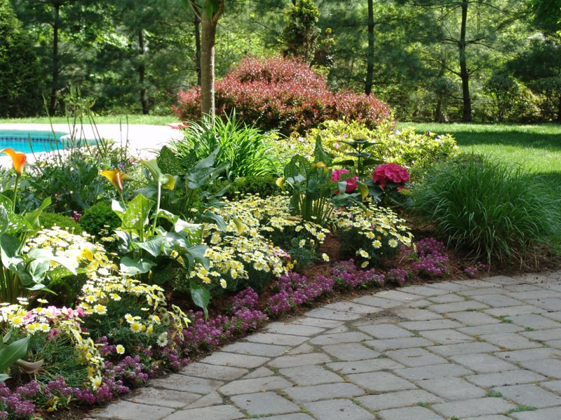 Best ideas about Perennial Garden Ideas
. Save or Pin New Jersey Perennial Garden Now.