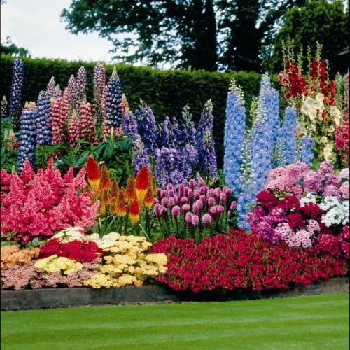 Best ideas about Perennial Garden Ideas
. Save or Pin Perennial Garden Ideas Sun Native Home Garden Design Now.