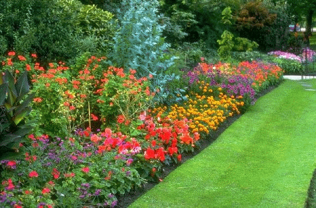 Best ideas about Perennial Garden Ideas
. Save or Pin Flower bed of only perennials es back every year with Now.