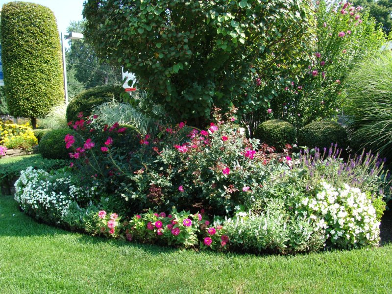 Best ideas about Perennial Garden Ideas
. Save or Pin New Jersey Perennial Garden Now.