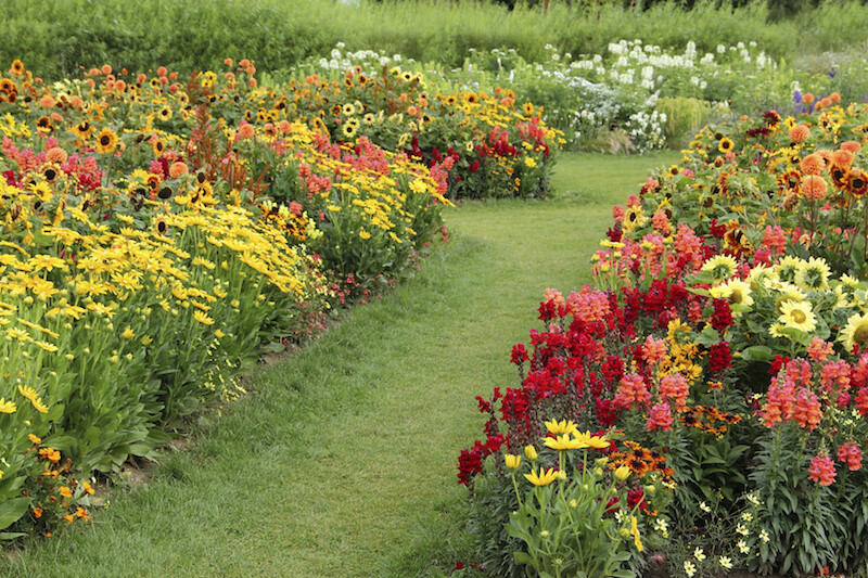 Best ideas about Perennial Garden Ideas
. Save or Pin 47 Gorgeous Perennial Garden Ideas Home Stratosphere Now.