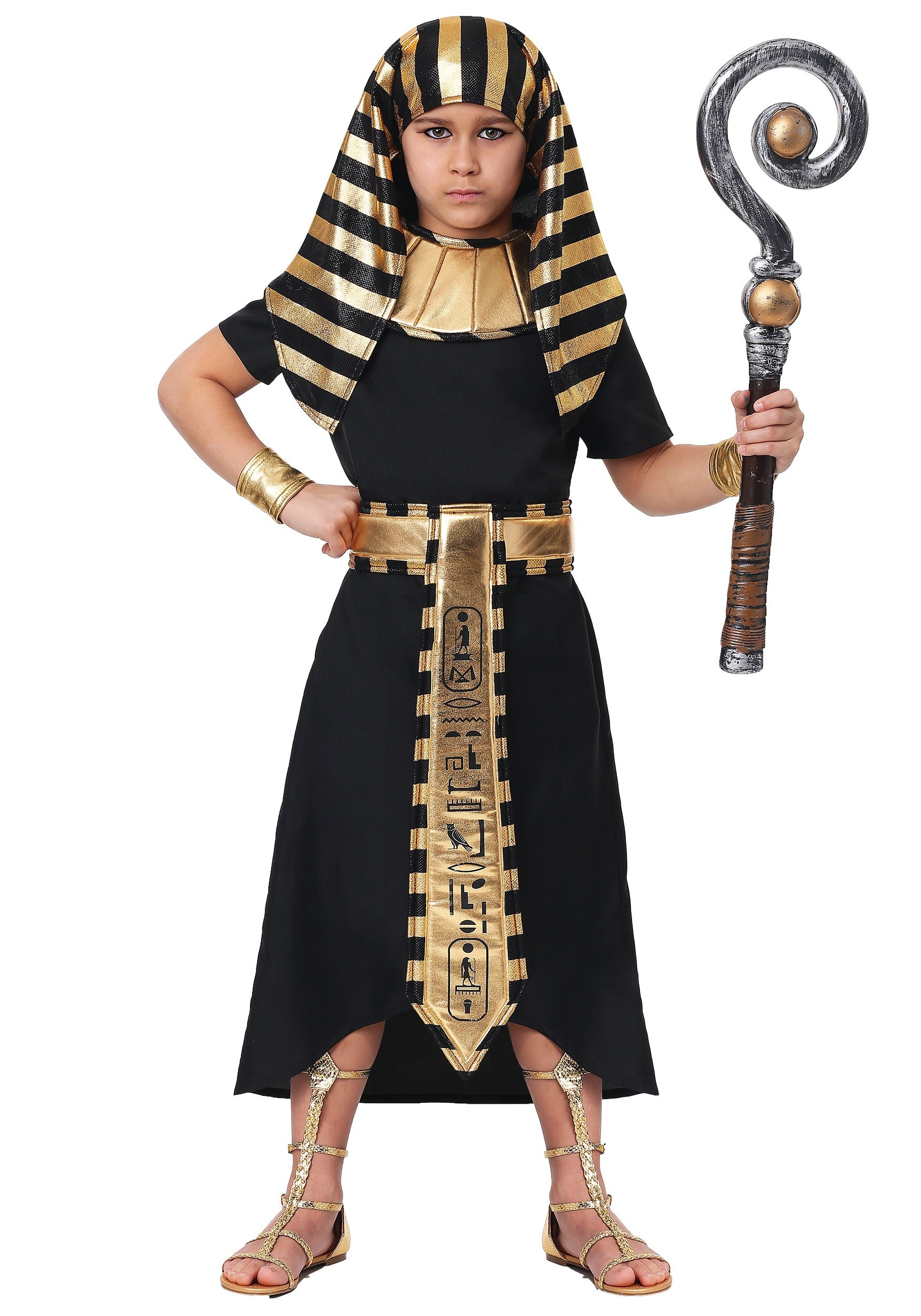 Best ideas about Pharaoh Costume DIY
. Save or Pin Egyptian Pharaoh Costume for a Child Now.