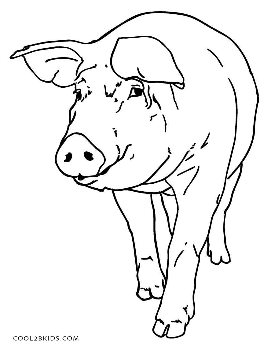 Best ideas about Pig Coloring Pages
. Save or Pin Free Printable Pig Coloring Pages For Kids Now.