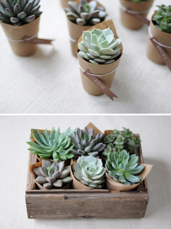 Best ideas about Plant Gift Ideas
. Save or Pin 25 best ideas about Succulent Table Decor on Pinterest Now.